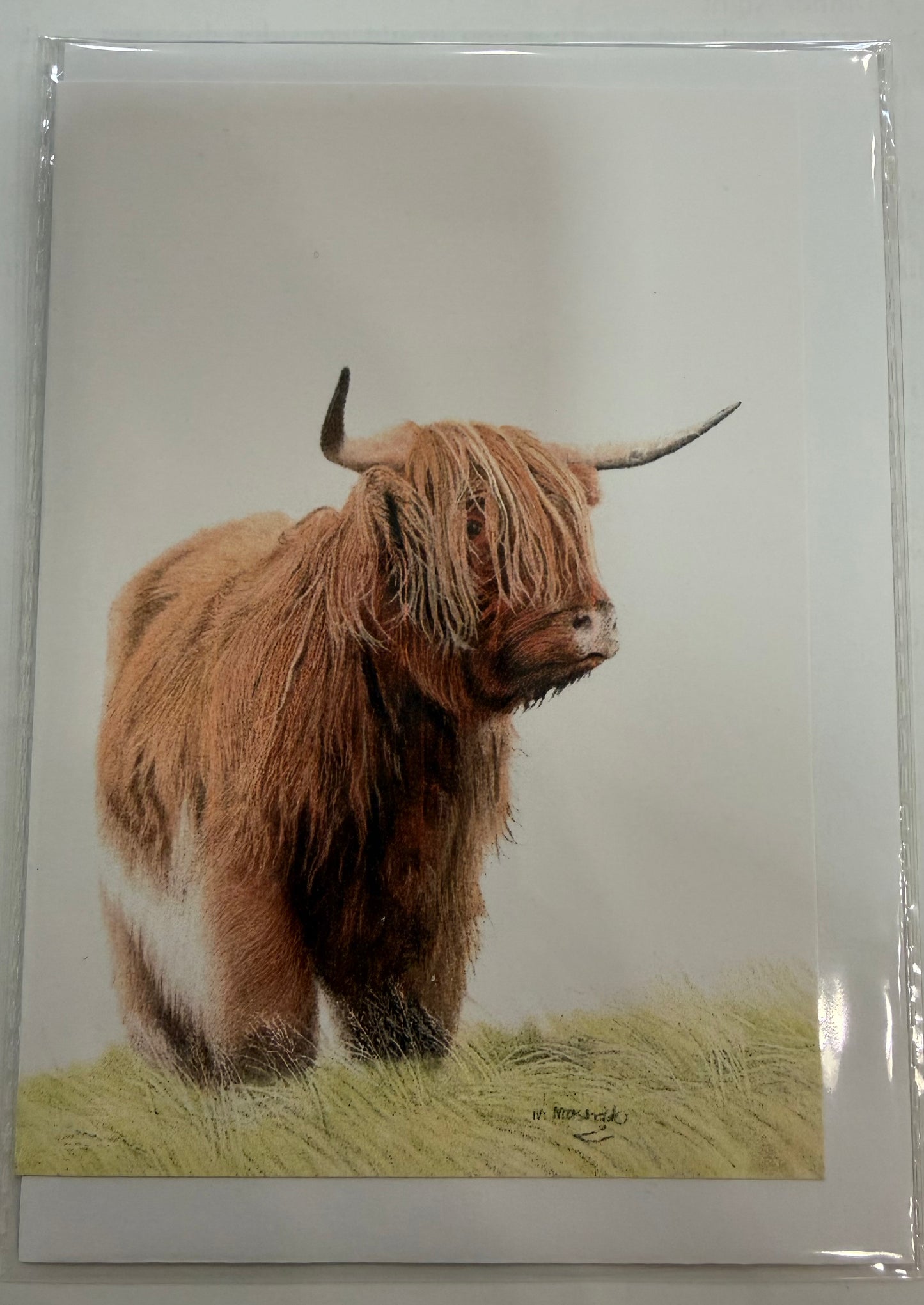 Highland Cow Greeting Card