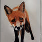 Foxie Greeting Card