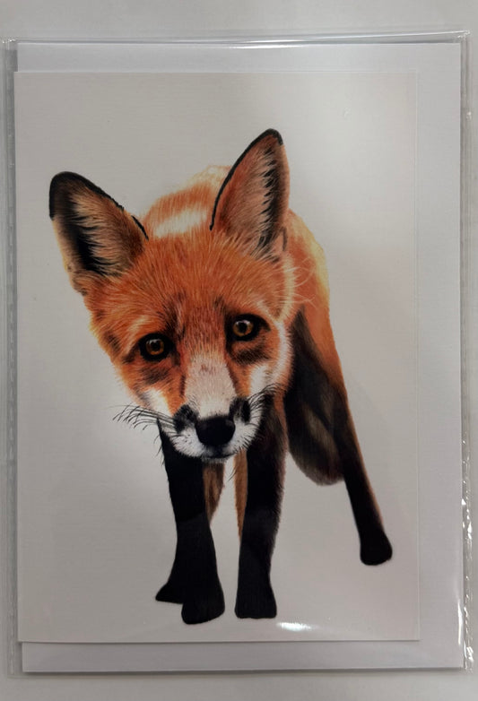 Foxie Greeting Card