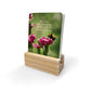 Bee You 24 Affirmation Cards