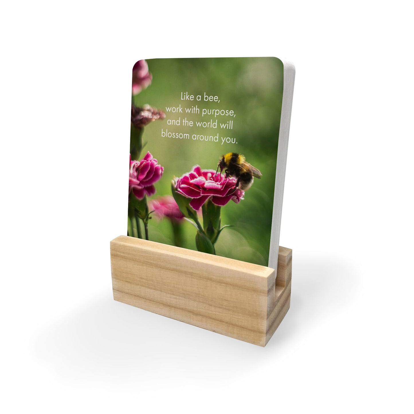 Bee You 24 Affirmation Cards