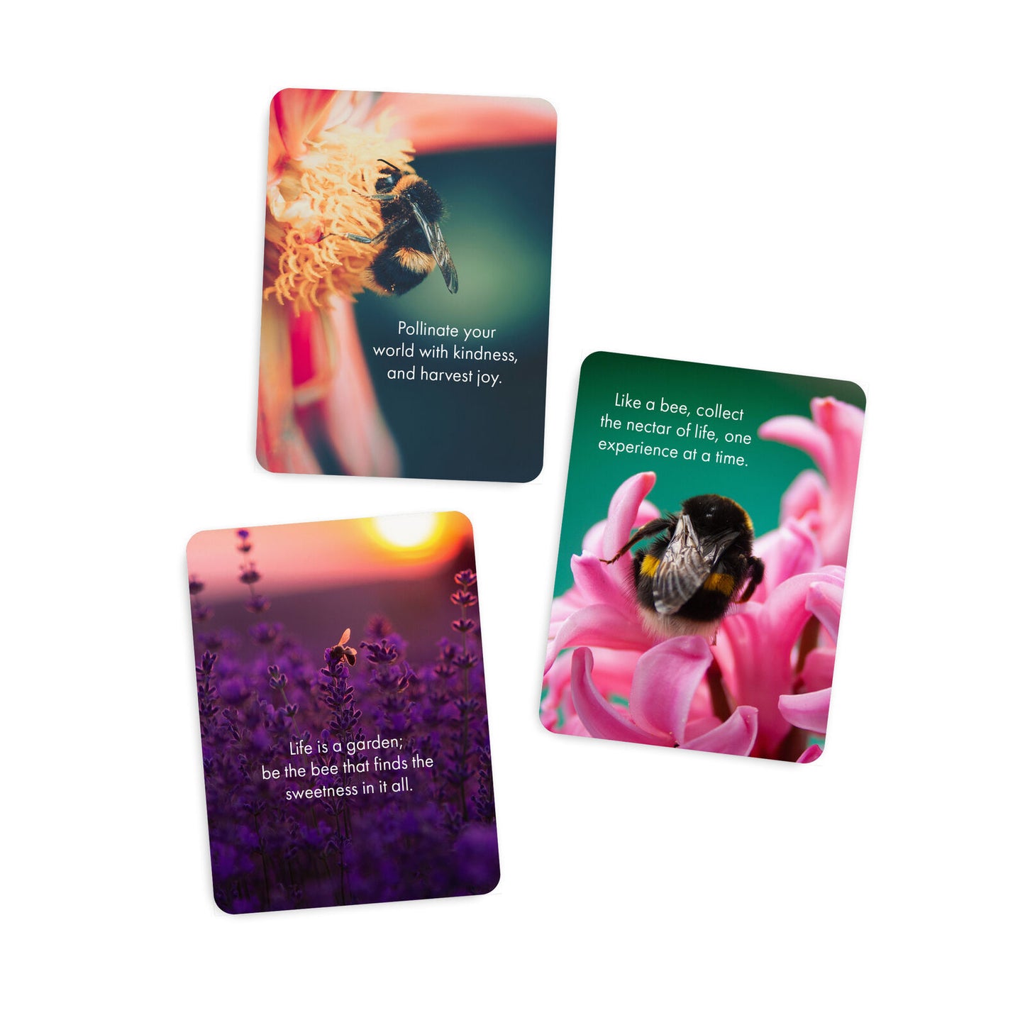 Bee You 24 Affirmation Cards