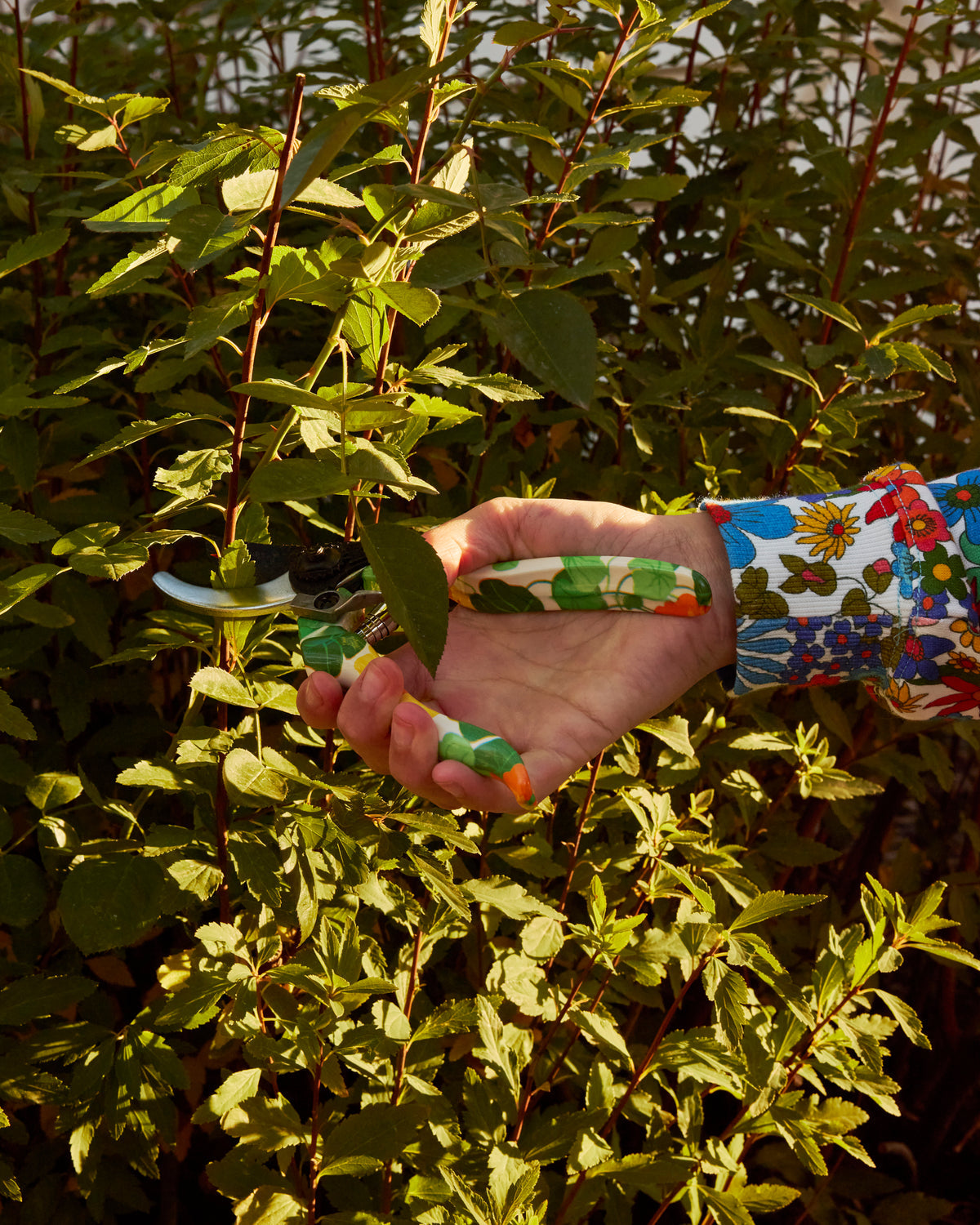 Nasturtium Garden Secateurs And Gloves Set