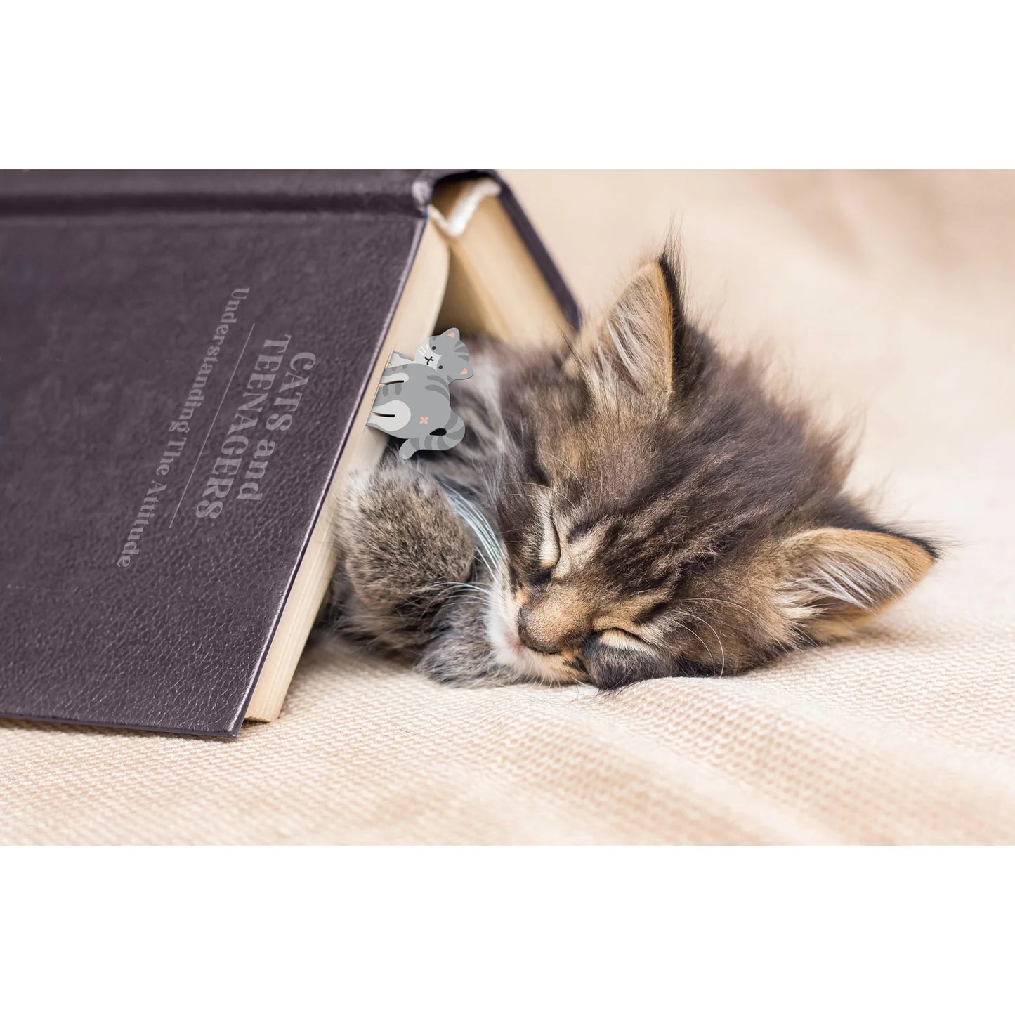 Tale End Cat Bookmarks - 2pcs Set Multi-Coloured
