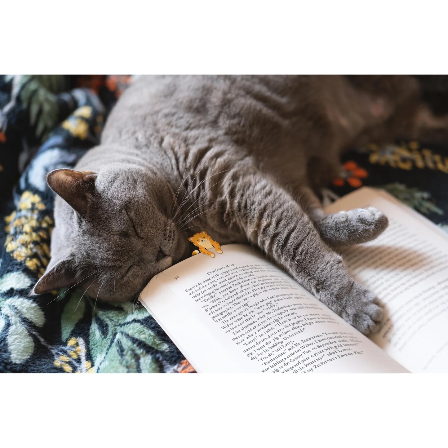 Tale End Cat Bookmarks - 2pcs Set Multi-Coloured