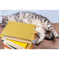 Tale End Cat Bookmarks - 2pcs Set Multi-Coloured