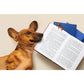 Short Tales Dog Bookmarks - 2pcs Set Multi-Coloured