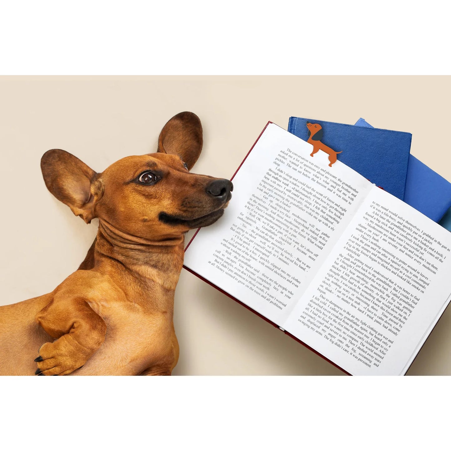 Short Tales Dog Bookmarks - 2pcs Set Multi-Coloured