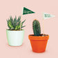 Plant Flag