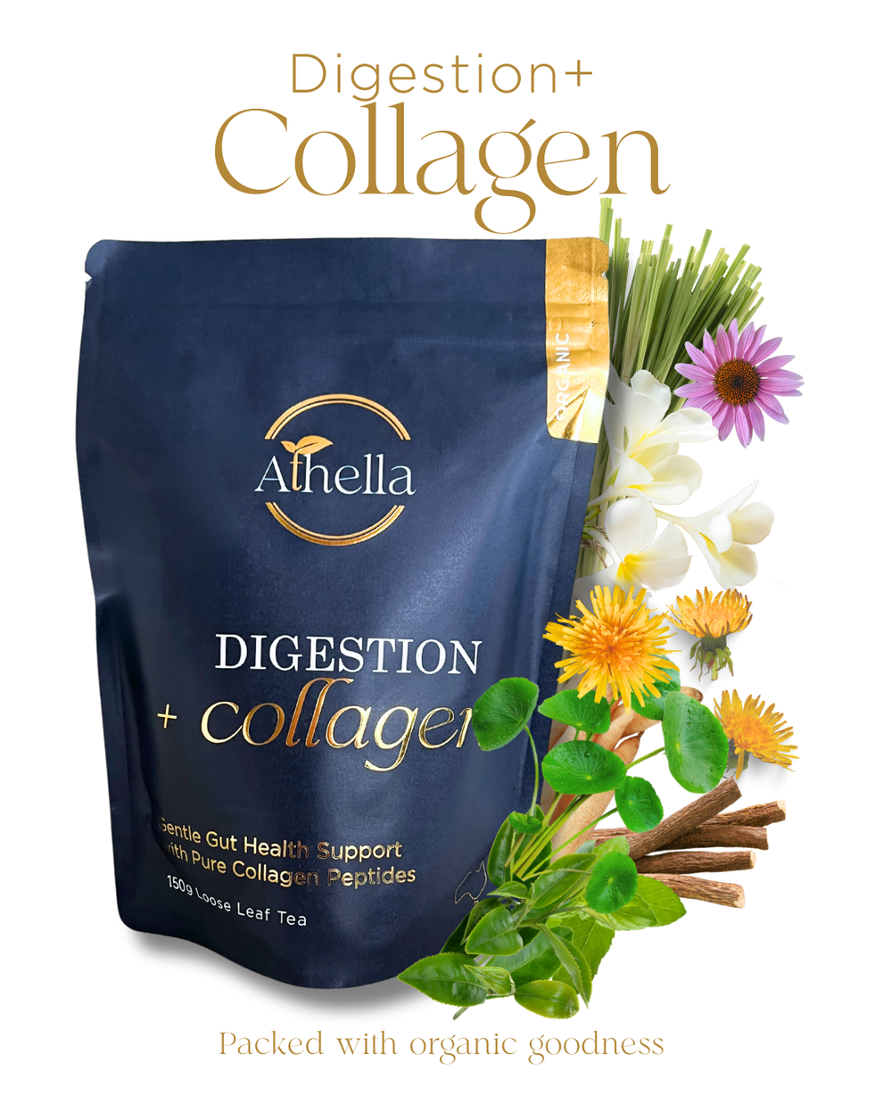 Digestion + Collagen