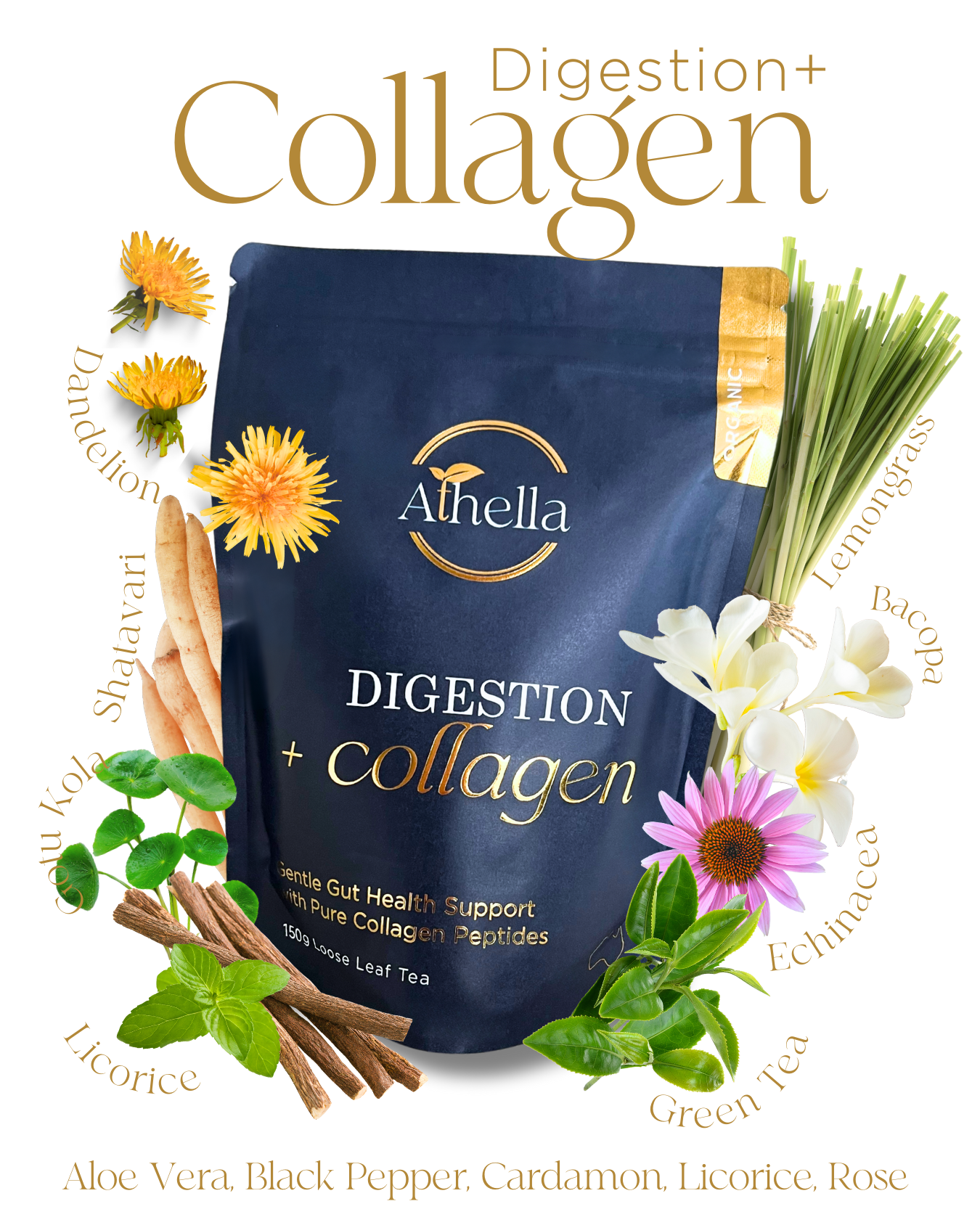 Digestion + Collagen
