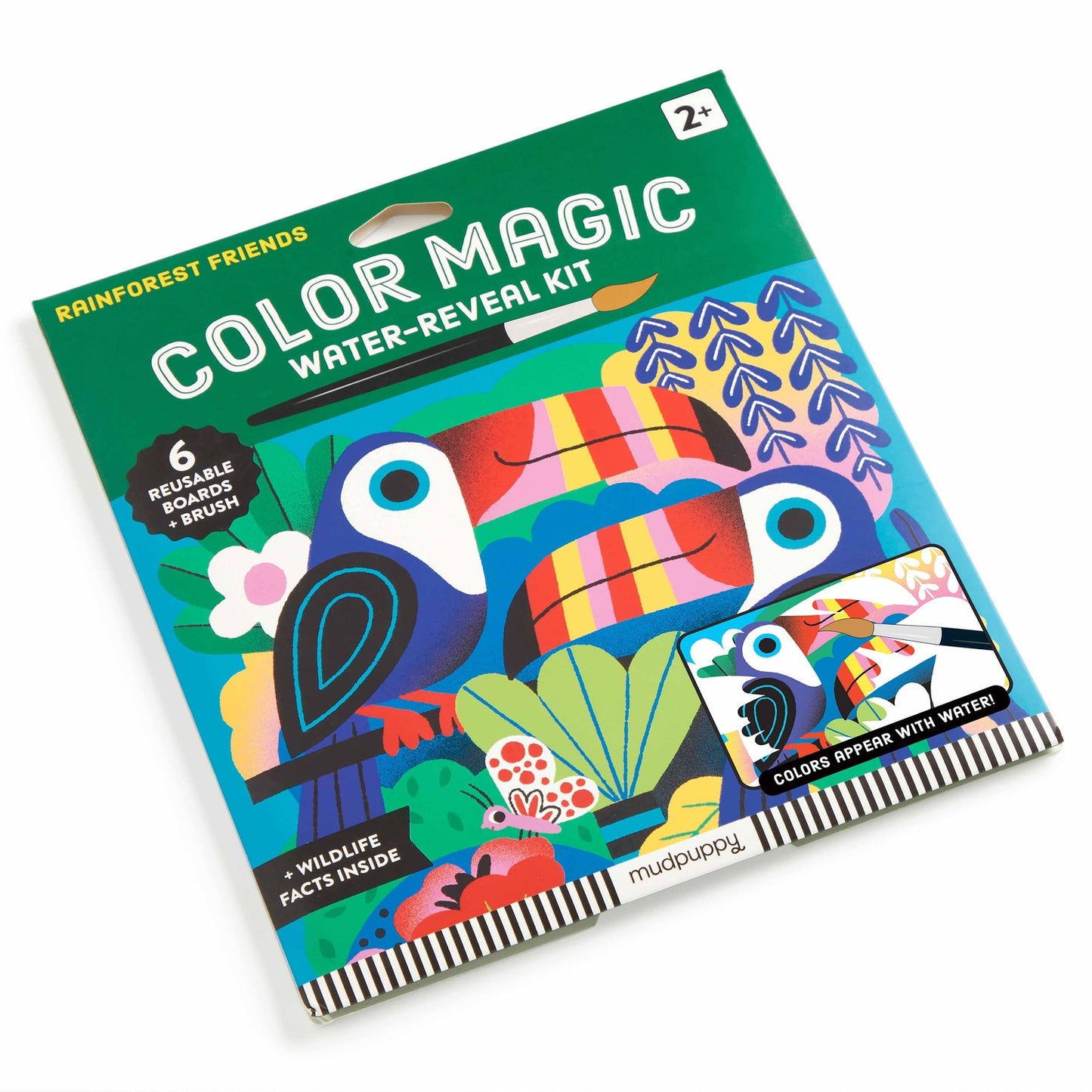 Rainforest Friends Colour Magic Water Reveal Kit