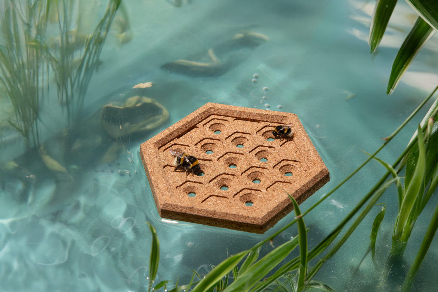 Bee Float Island