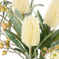 Banksia Eucalyptus Mix - Rachel Vase