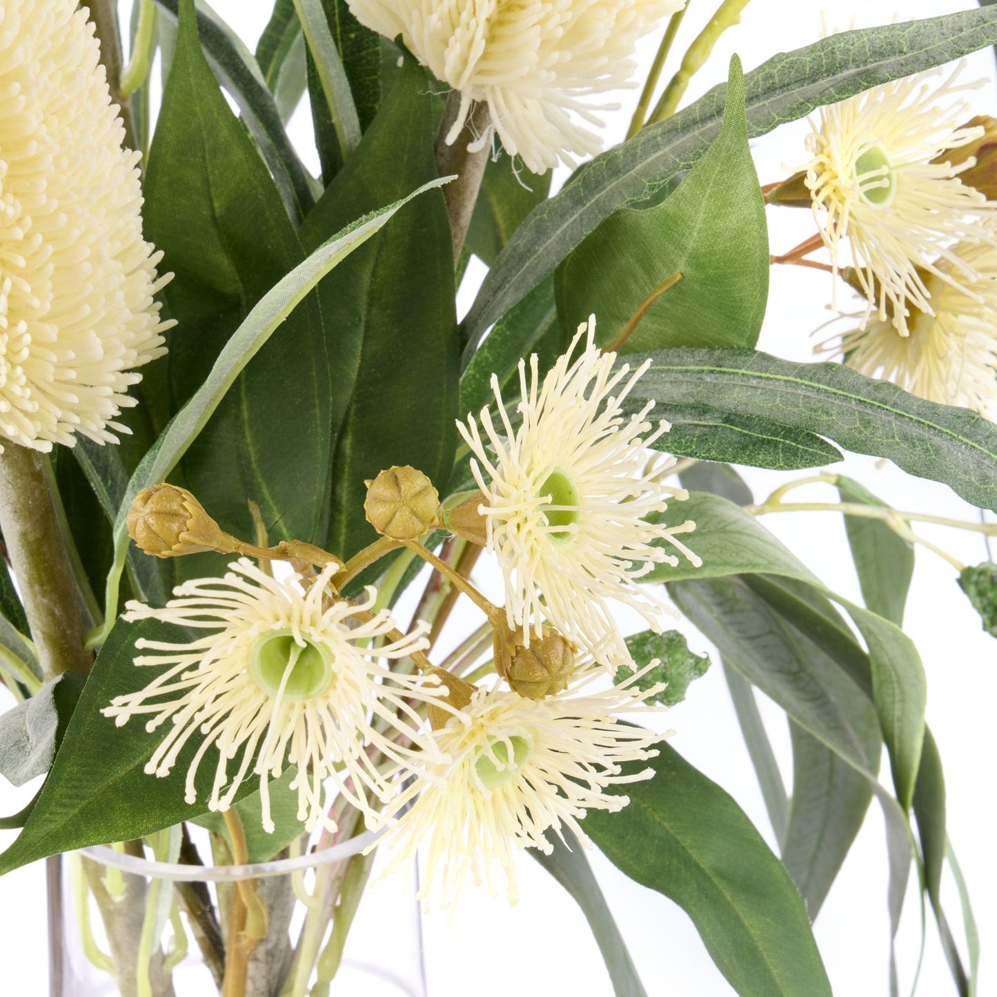 Banksia Eucalyptus Mix - Rachel Vase