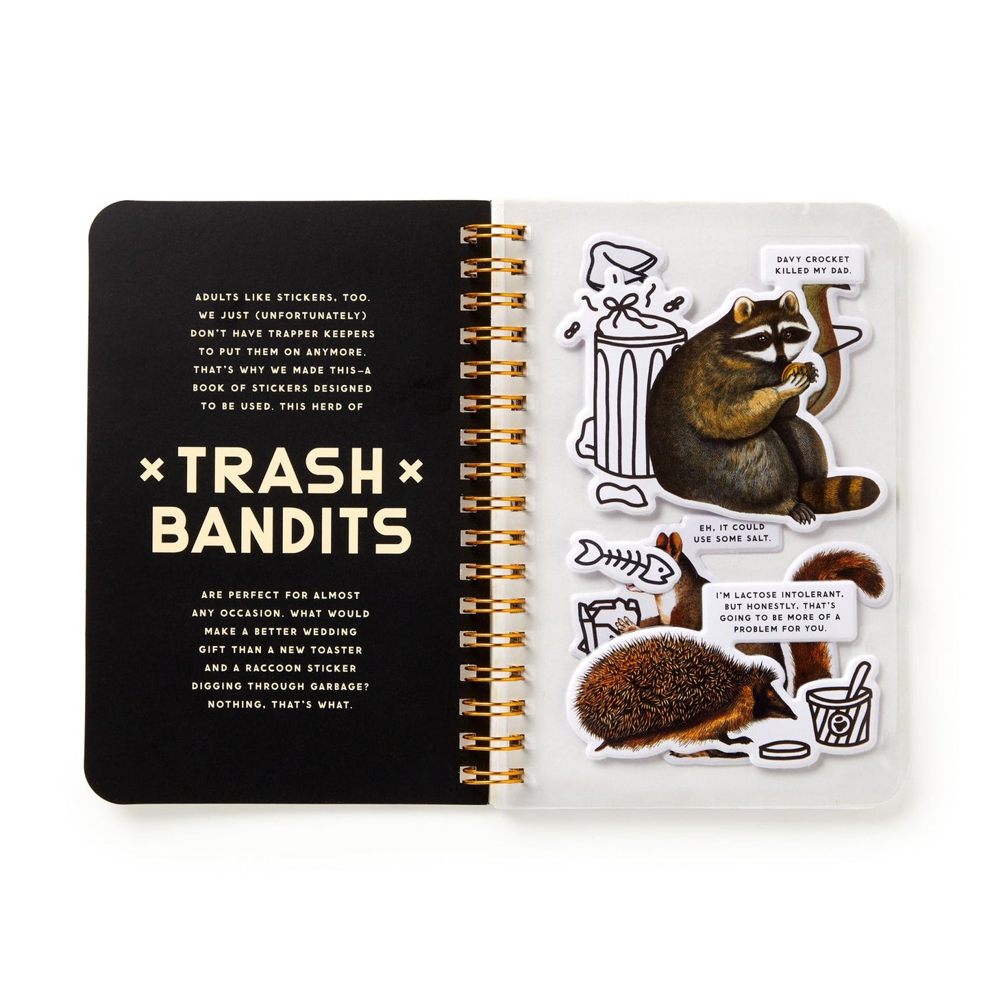 Trash Bandits (A Sticker Book)