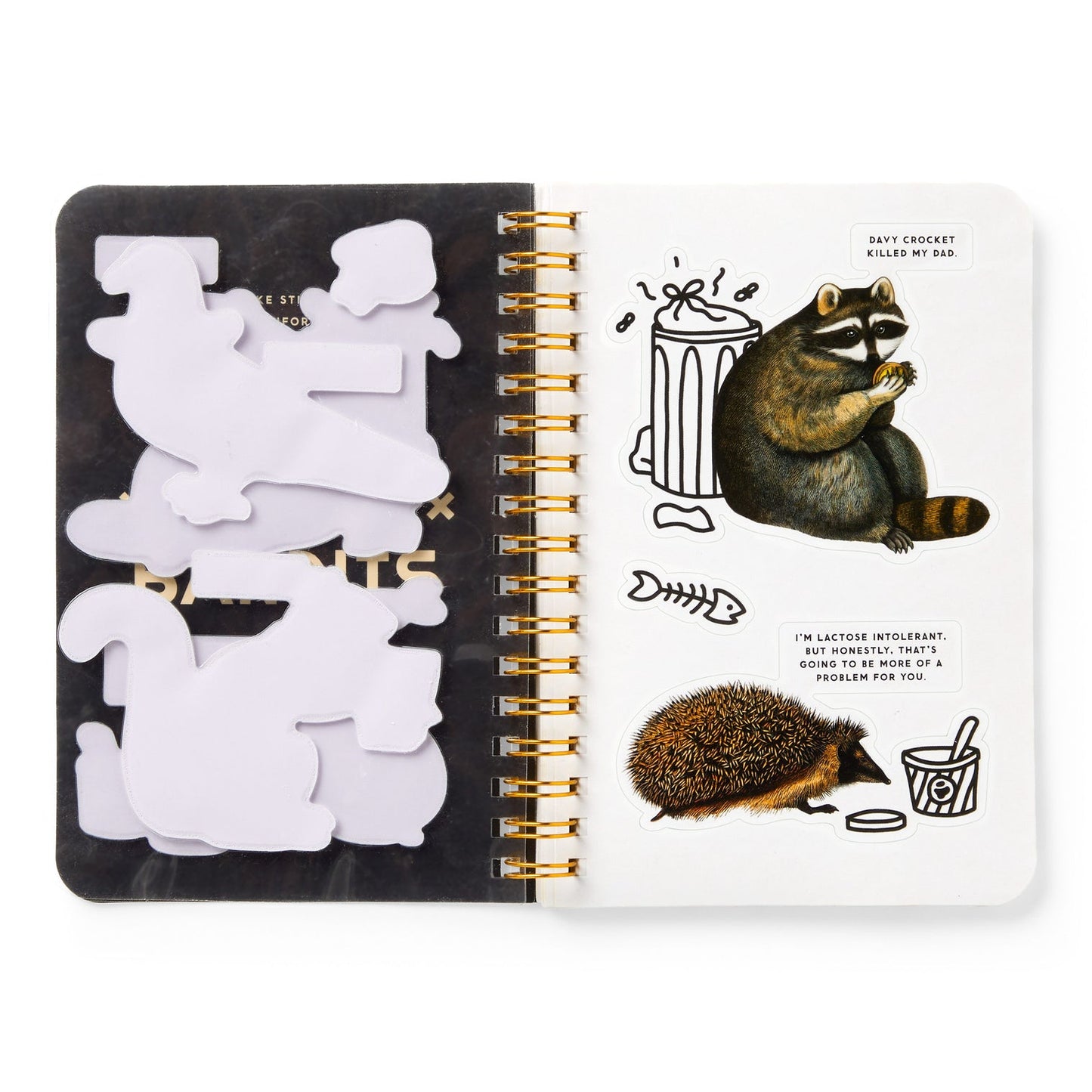 Trash Bandits (A Sticker Book)