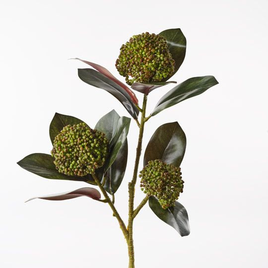 Magnolia Leaf Seed Spray - Floral Interiors