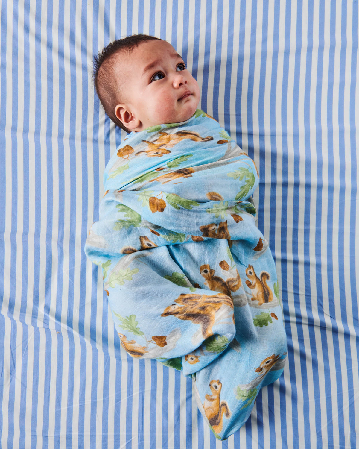 Squirrel Scurry Bamboo Swaddle  - Kip&Co