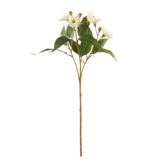 Eucalyptus Flower Spray - Rouge