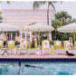 Gray Malin Palm Beach Book Puzzle 1000pc