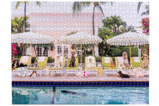 Gray Malin Palm Beach Book Puzzle 1000pc