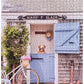Gray Malin Nantucket Book Puzzle 1000pc