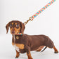 Rainbow Spray Dog Lead - Kip&Co