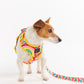 Rainbow Spray Dog Lead - Kip&Co