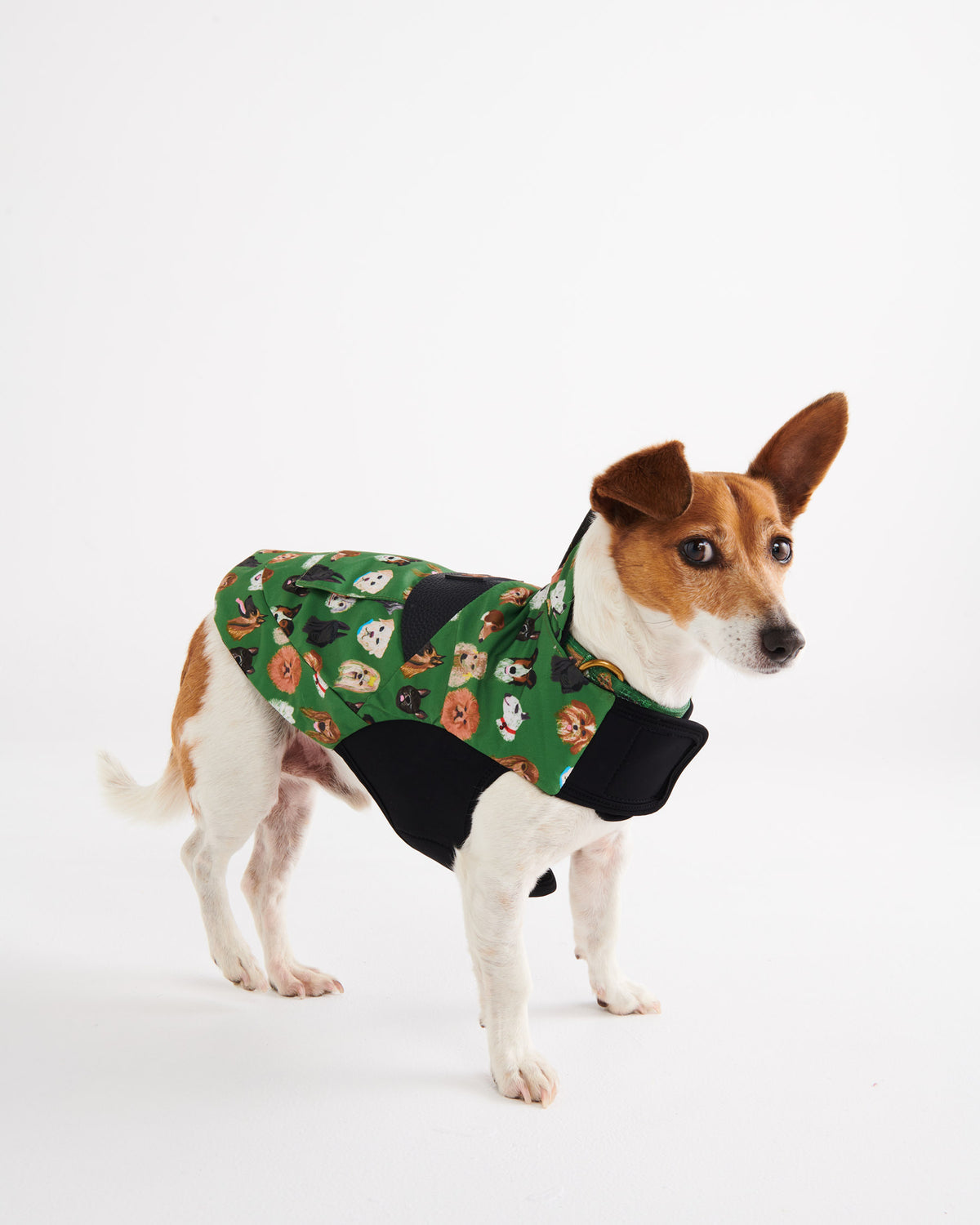 Dog Park Dog Jacket- Kip&Co