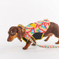 Rainbow Spray Dog Jacket- Kip&Co