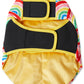 Rainbow Spray Dog Jacket- Kip&Co