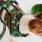Dog Park Dog Harness- Kip&Co