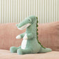 Emerson Aligator
