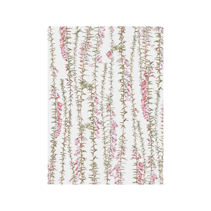 All Wrapped Up Botanicals by Edith Rewa Gift Cards