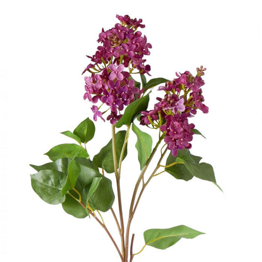 Lilac Spray Dark Burgandy