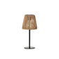 Atlas Solar Lamp