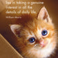 Kitten Tales -  Little Affirmations Cards
