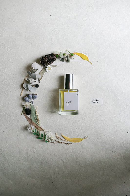 Field Notes Perfume - Rewild Co
