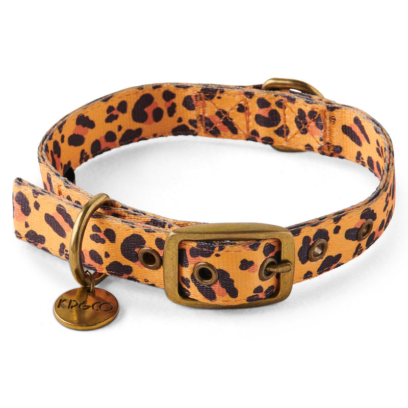 Tarzan Dog Collar - Kip&Co
