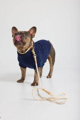 Snowy Cable Dog Knit - Holiday