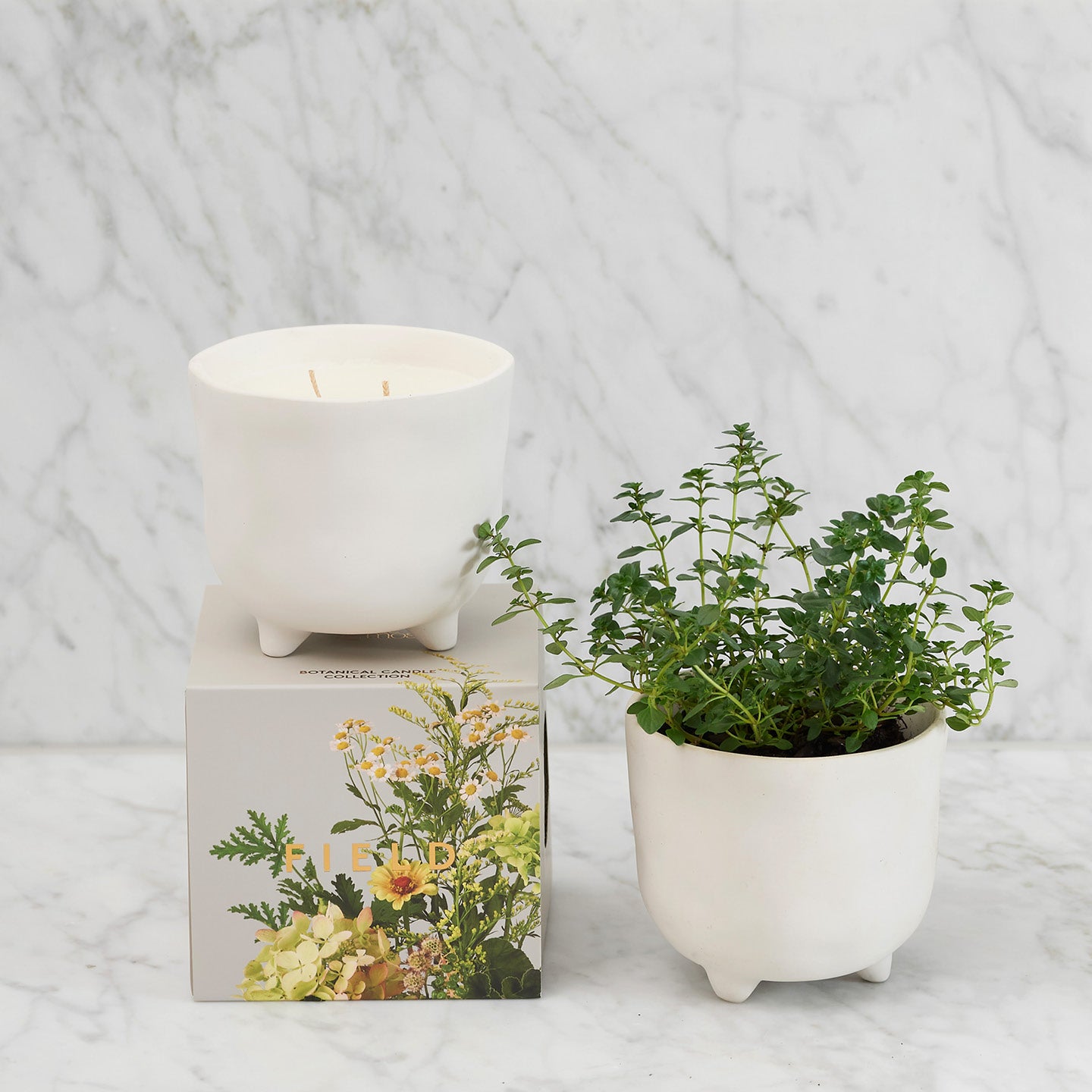 Botanical Candle - Myrtle & Moss